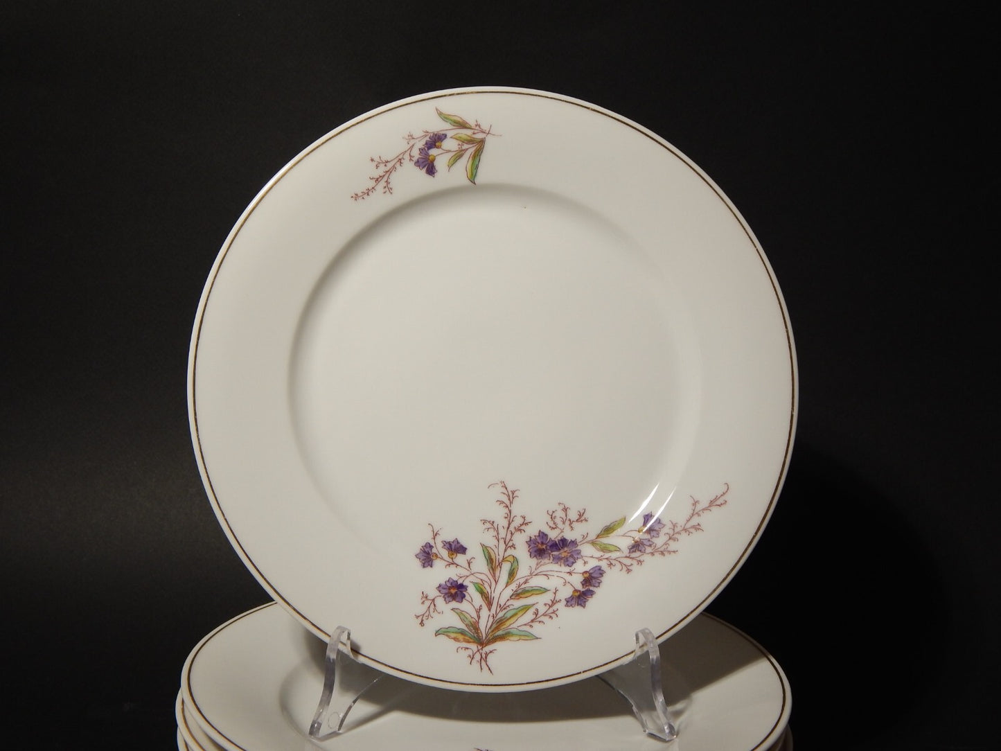 ANTICO HAVILAND LIMOGES SERVIZIO 6 PIATTI TAVOLA PORCELLANA FINE 800 ART NOUVEAU