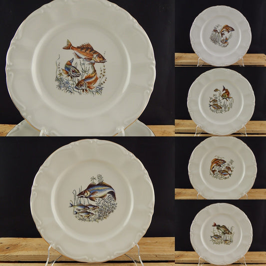 VINTAGE ROCAILLE SERVIZIO 6 PIATTI ROYAL TOGNANA PORCELLANA D’ITALIA PESCI