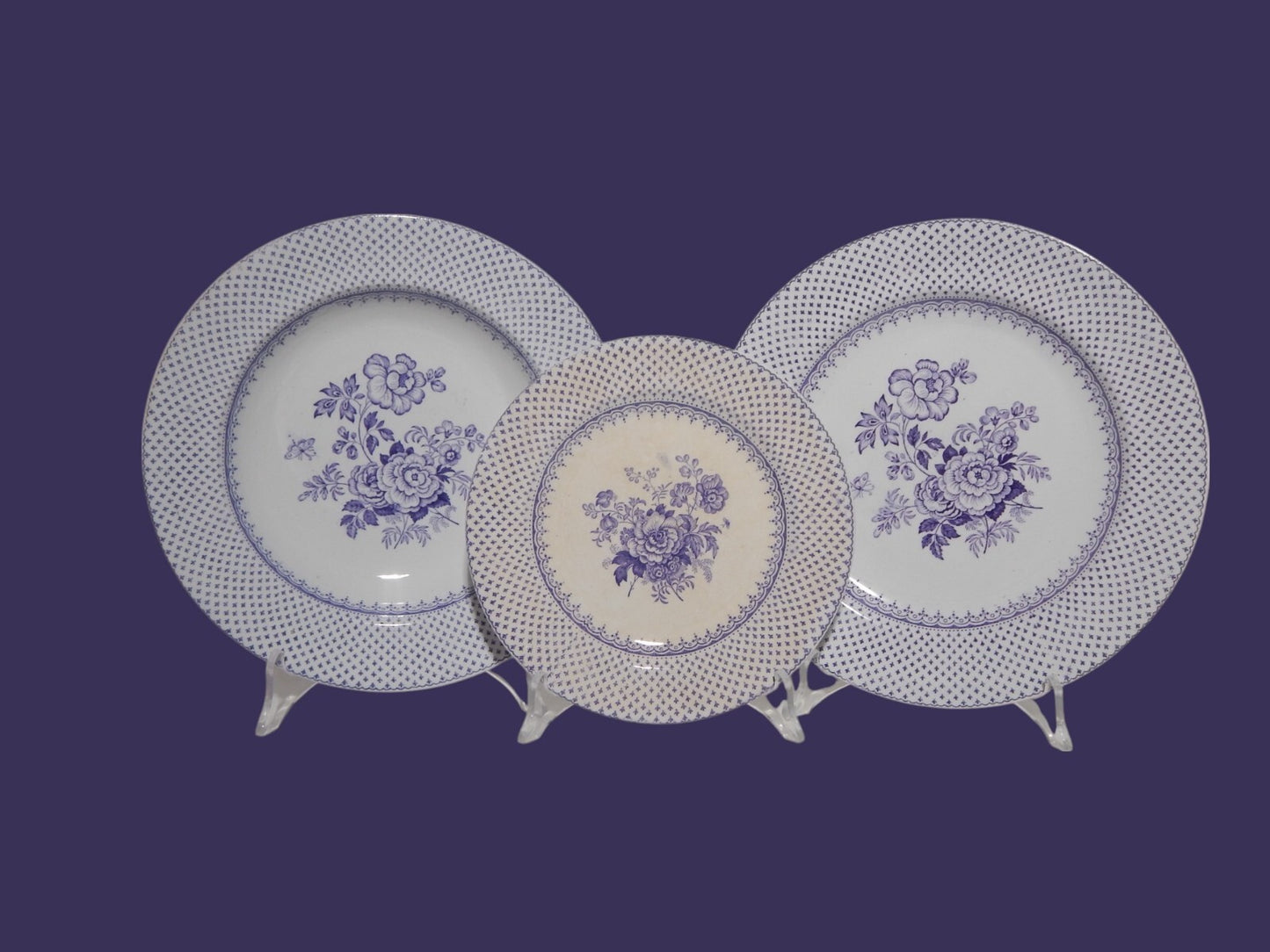 ANTICO SET 12 PIATTI CERAMICA STAFFORDSHIRE PRIMAVESI 1860 ERMINE BORDER VIOLA