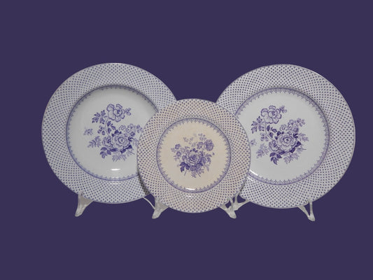 ANTICO SET 12 PIATTI CERAMICA STAFFORDSHIRE PRIMAVESI 1860 ERMINE BORDER VIOLA