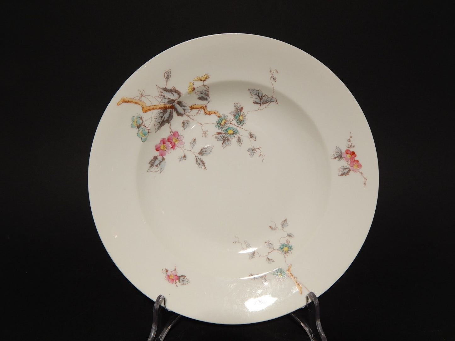 ANTICO RARO SERVIZIO TAVOLA 10 PIATTI PORCELLANA GINORI FINE 800 RAMO FIORITO