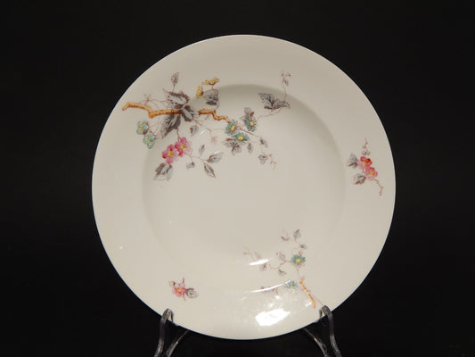 ANTICO RARO SERVIZIO TAVOLA 10 PIATTI PORCELLANA GINORI FINE 800 RAMO FIORITO