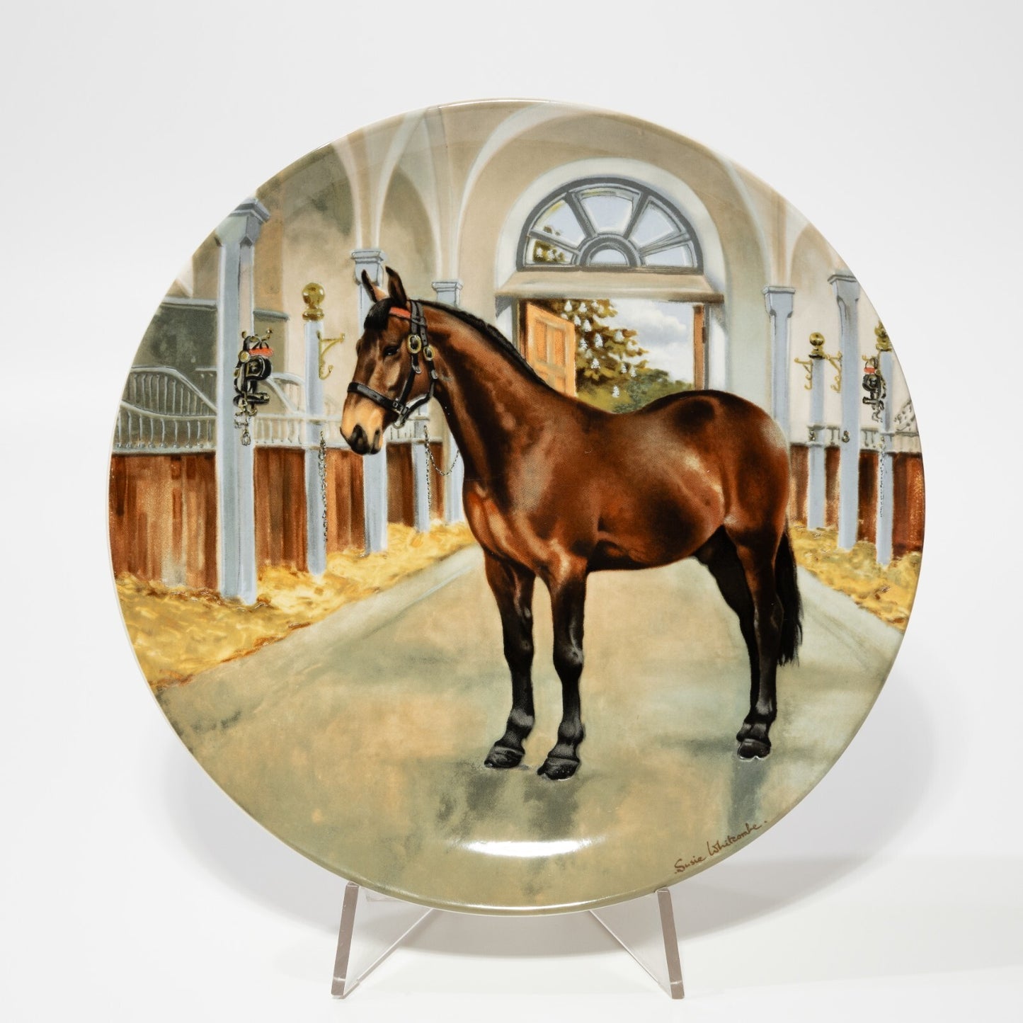 VINTAGE PIATTO PORCELLANA SPODE THE CLEVELAND BAY 1989 BY SUSIE WHITCOMBE