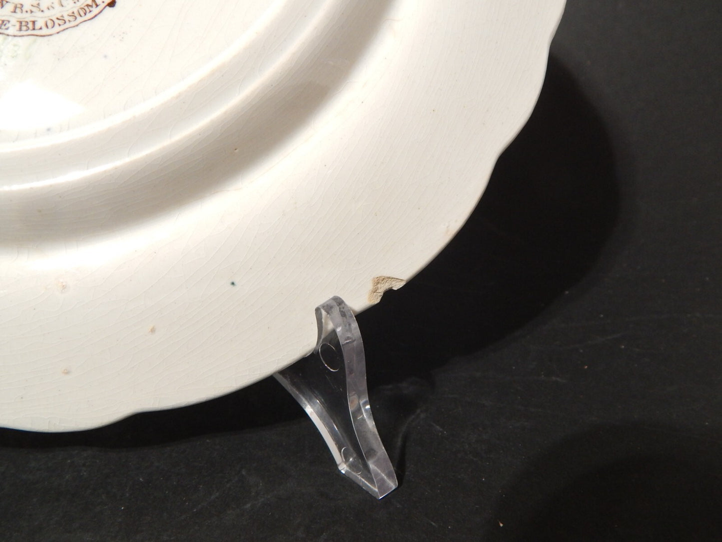 ANTICO 1850 PIATTO PIANO SEMI PORCELLANA INGLESE RIDGWAY &C. APPLE BLOSSOM #884