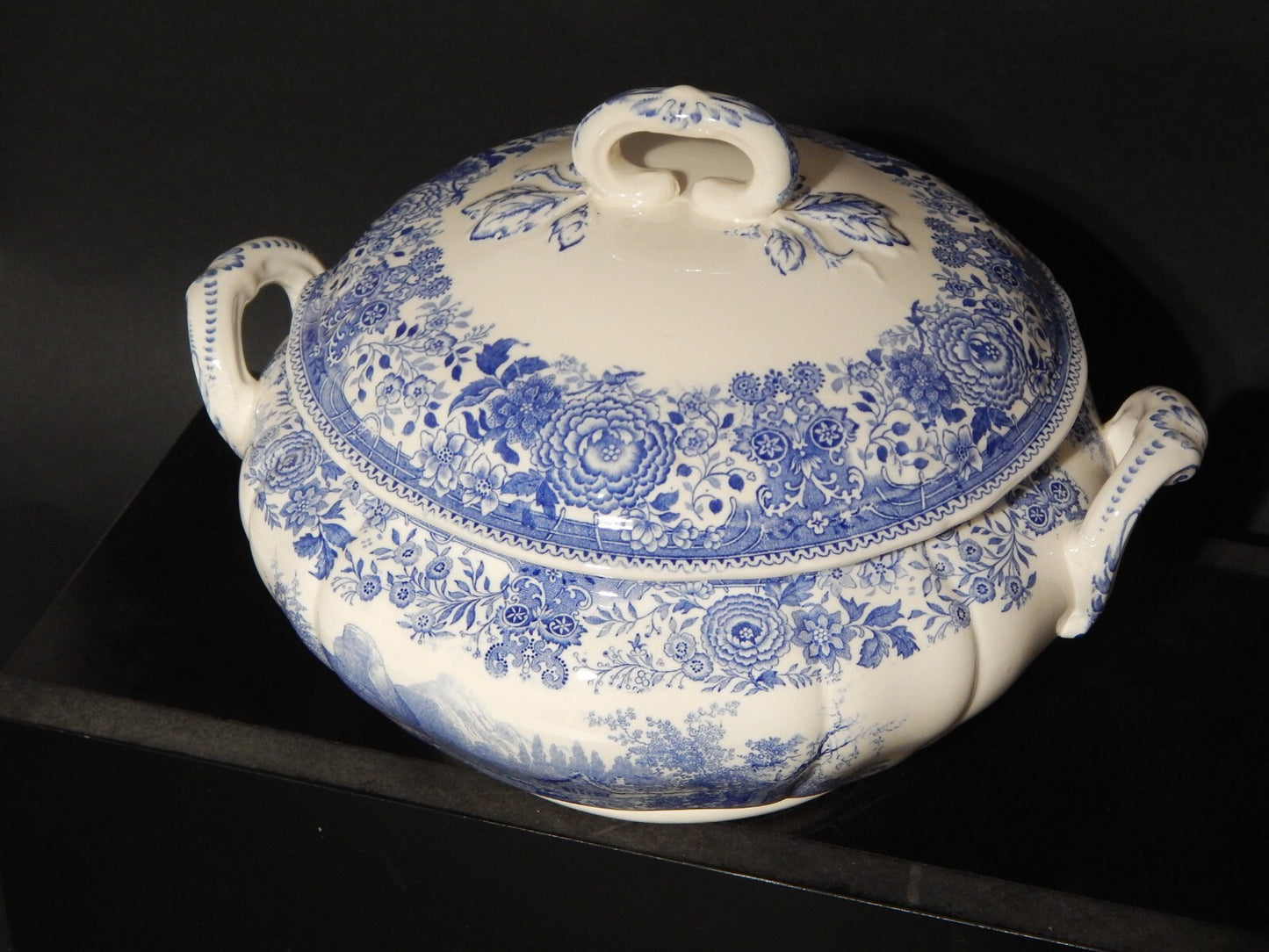 VINTAGE ZUPPIERA CENTROTAVOLA PORCELLANA VILLEROY&BOCH METTLACH SAAR BURGENLAND