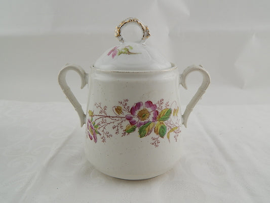 ANTICA RARA ZUCCHERIERA POTICHE CERAMICA MAIOLICA ROSA CANINA HANDMADE ITALY
