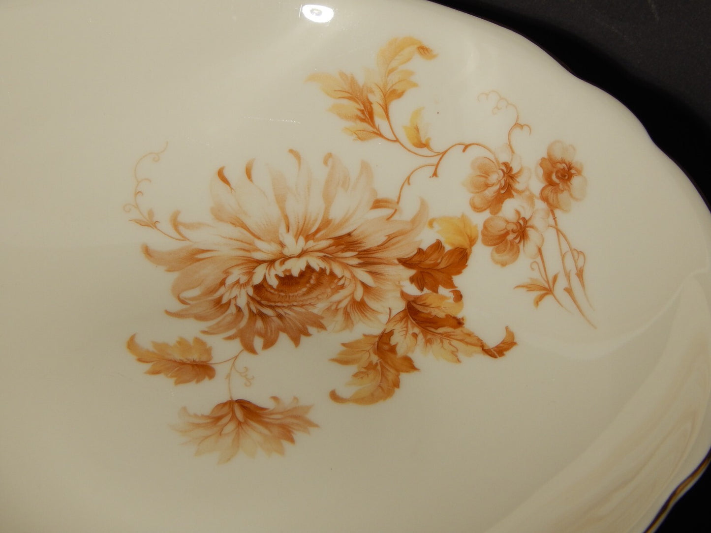 ANTICO PREZIOSO 1935 SERVIZIO TAVOLA PIATTI PORCELLANA VERBANO LAVENO ANDLOVITZ