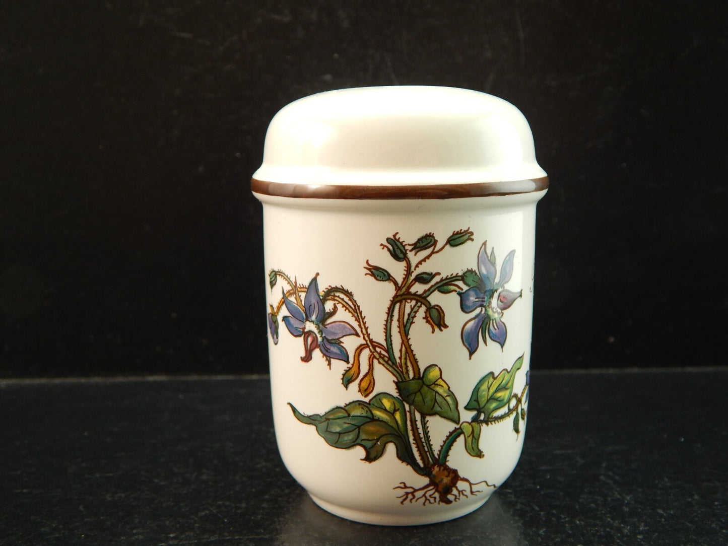 VINTAGE VILLEROY&BOCH SET SALE E PEPE PORCELLANA COLLEZIONE BOTANICA