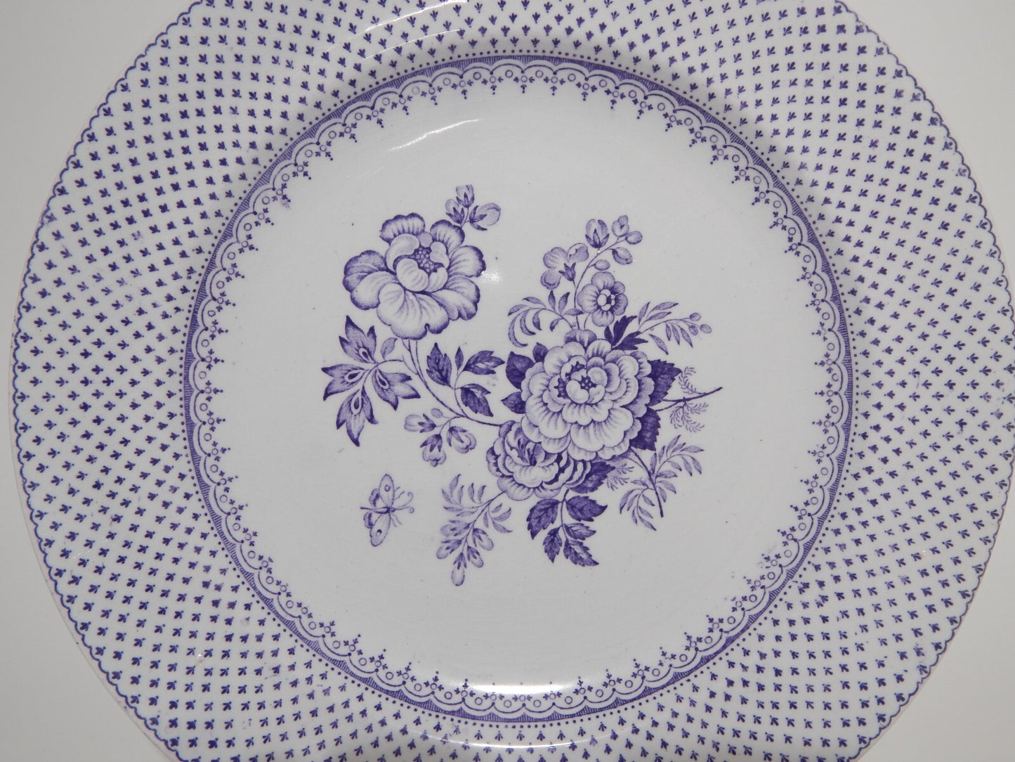 ANTICO SET 12 PIATTI CERAMICA STAFFORDSHIRE PRIMAVESI 1860 ERMINE BORDER VIOLA