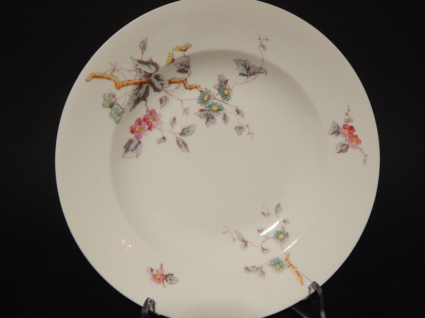 ANTICO RARO SERVIZIO TAVOLA 10 PIATTI PORCELLANA GINORI FINE 800 RAMO FIORITO