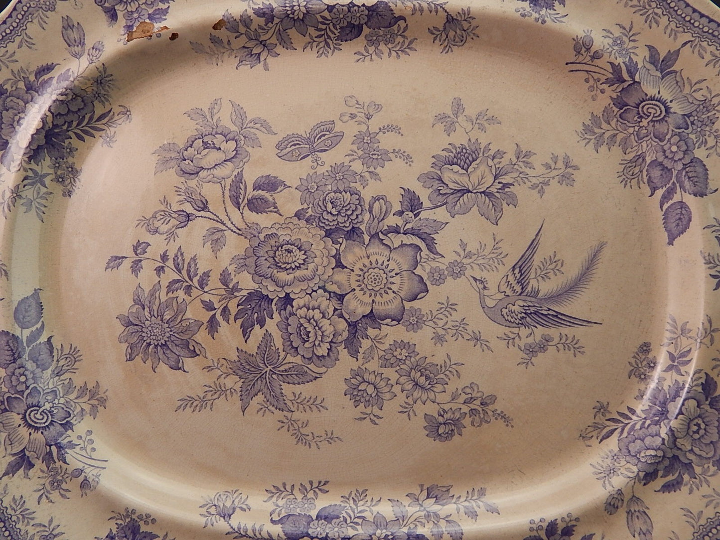 ANTICO RARO VASSOIO CERAMICA PRIMAVESI & SONS SWANSEA ASIATIC PHEASANTS FINE 800