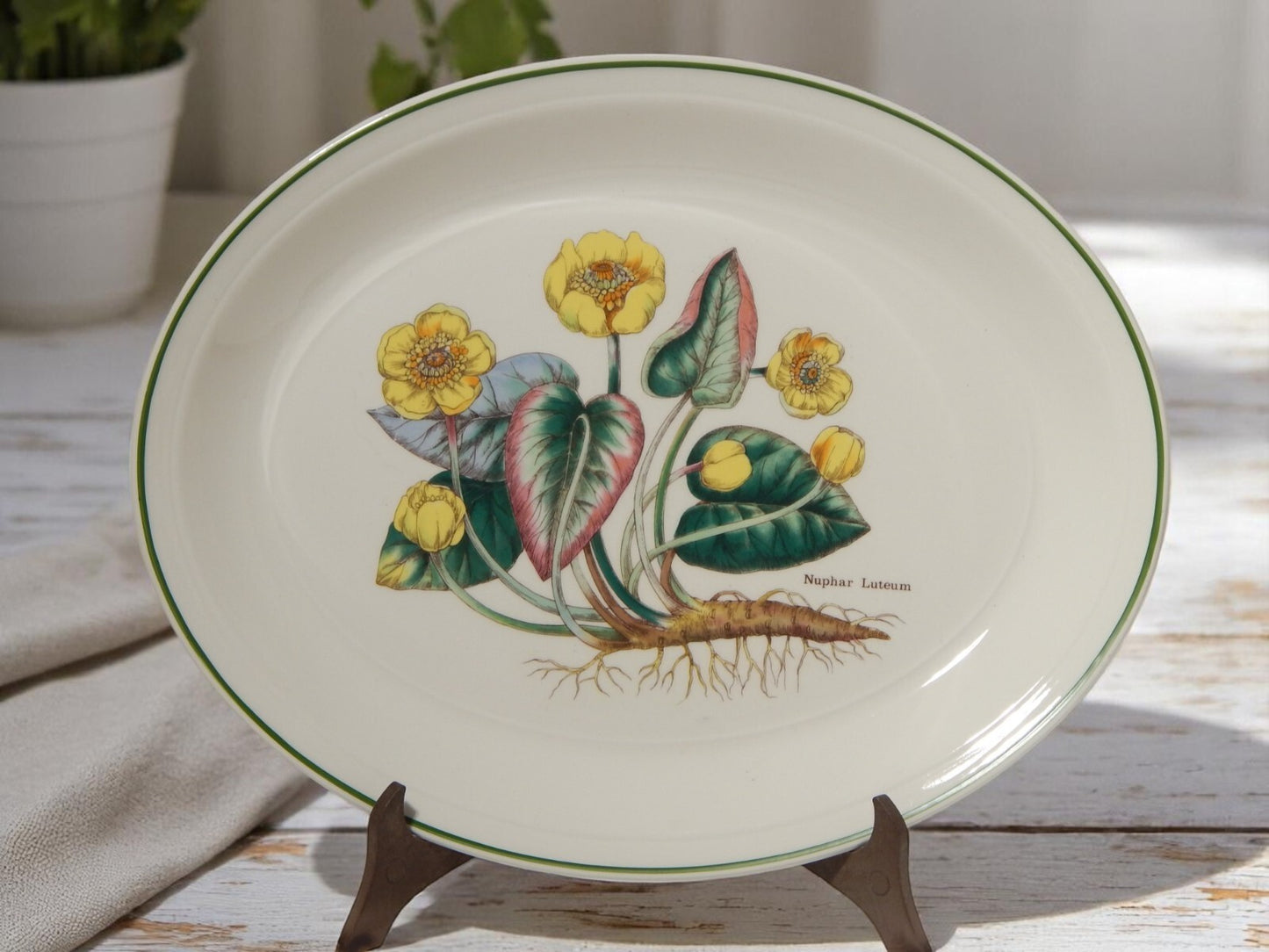 CERAMICA ENOCH WEDGWOOD TEGLIA OVALE LEGUMIERA BOTANICA FLORABUNDA NINFEA GIALLA