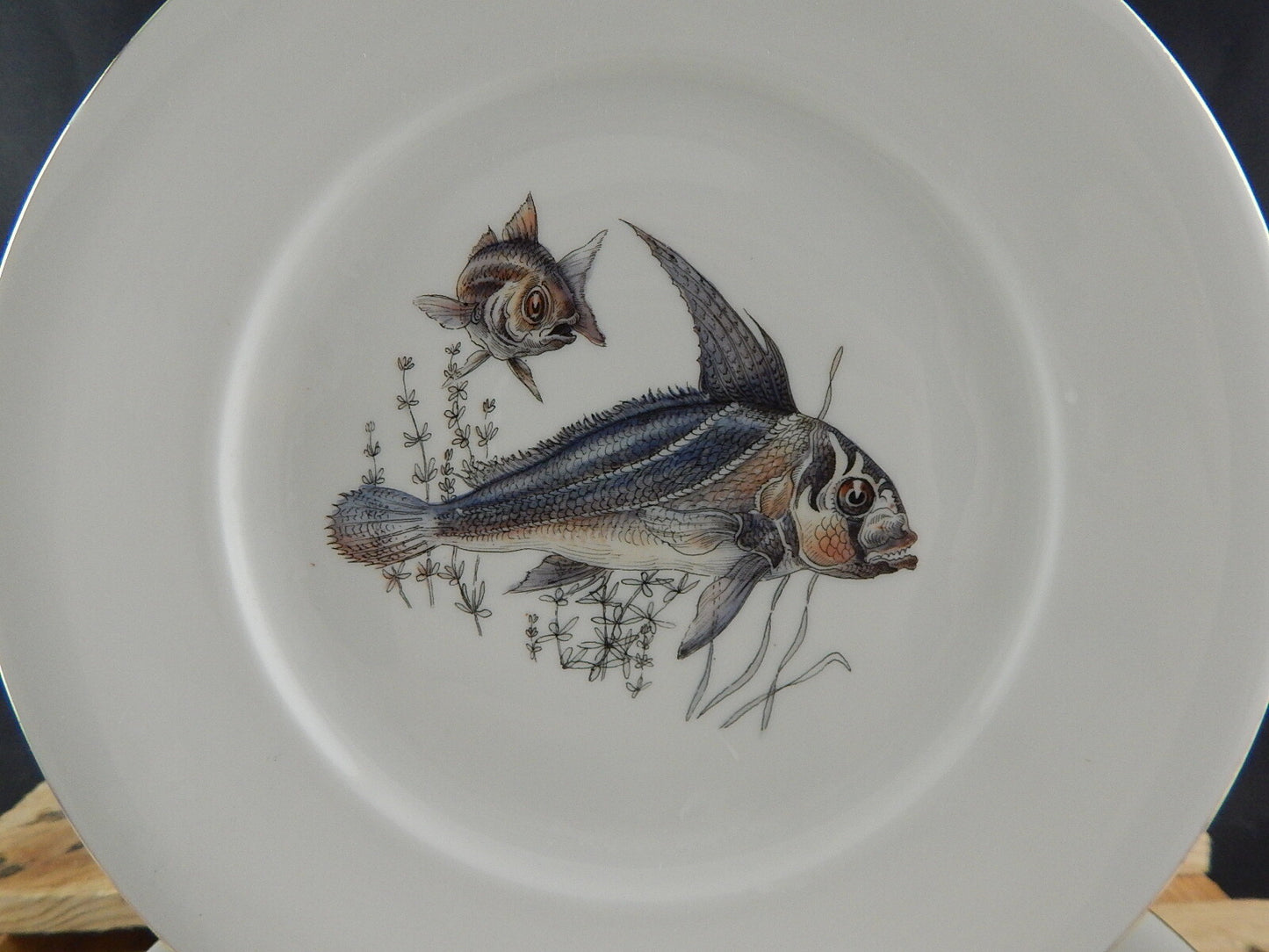 ANTICO SERVIZIO 6 PIATTI WINTERLING BAVARIA PORCELLANA COLLEZIONE PESCI