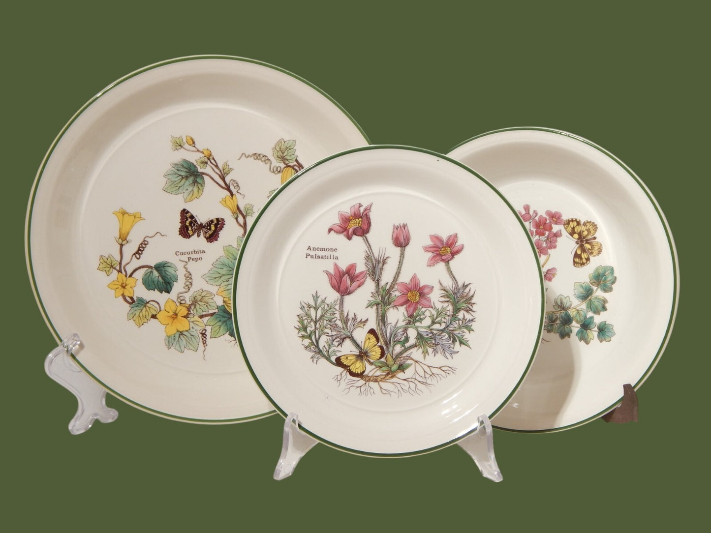 CERAMICA ENOCH WEDGWOOD VINTAGE SERVIZIO 18 PIATTI SERIE BOTANICA FLORABUNDA