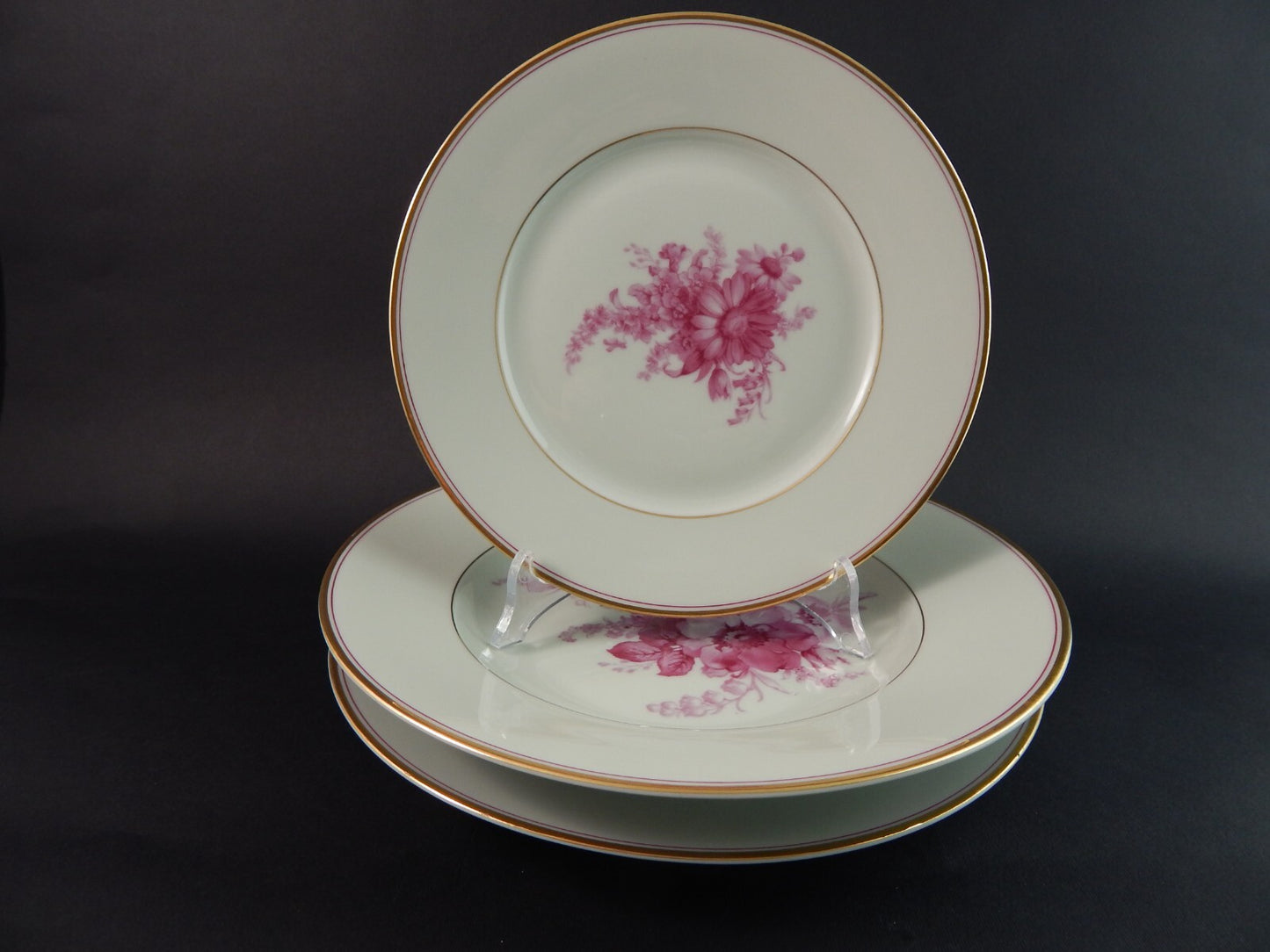 ANTICO SERVIZIO TAVOLA PIATTI PORCELLANA JOHANN HAVILAND BAVARIA DECORO SAVONA