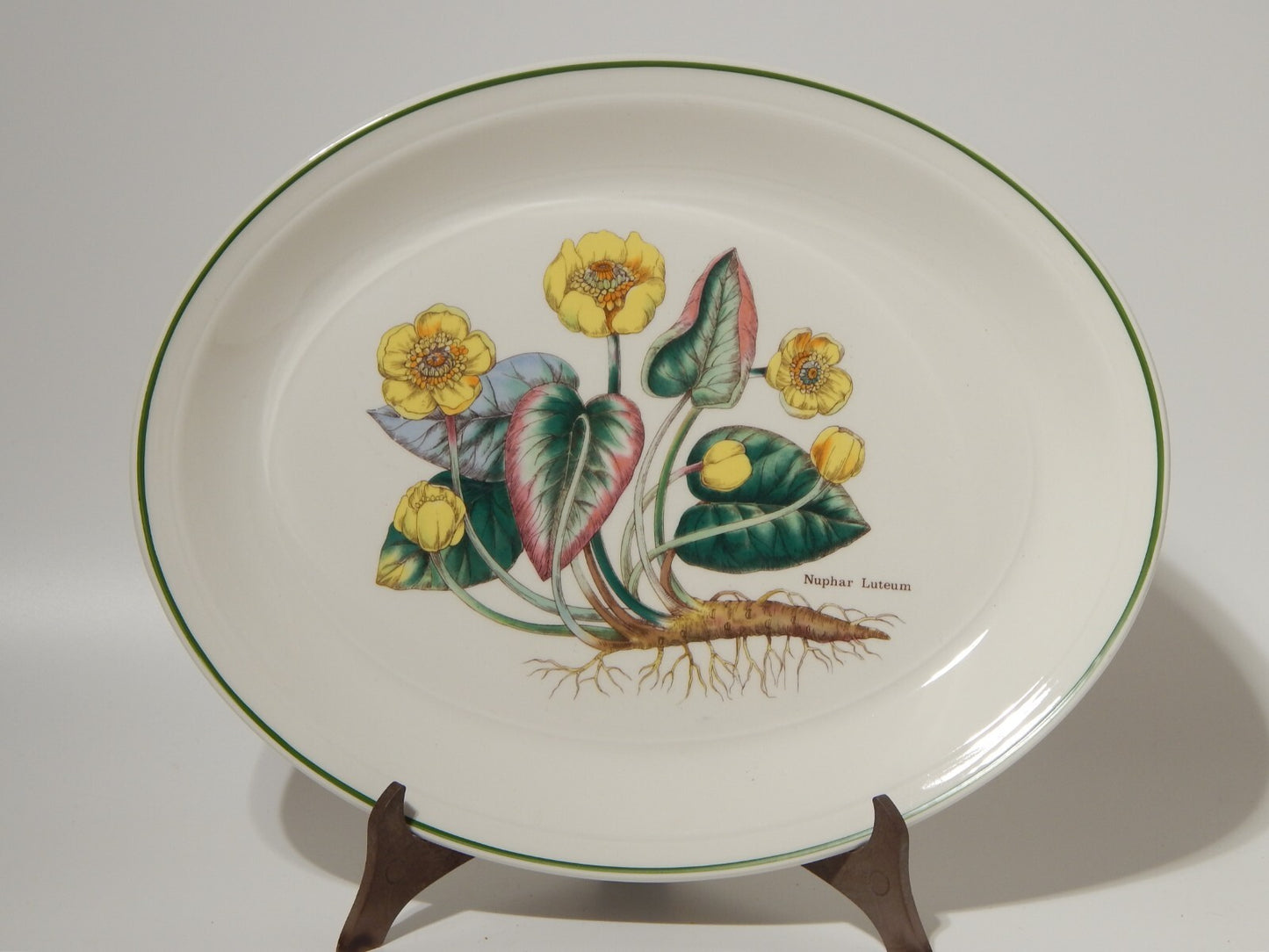 CERAMICA ENOCH WEDGWOOD TEGLIA OVALE LEGUMIERA BOTANICA FLORABUNDA NINFEA GIALLA