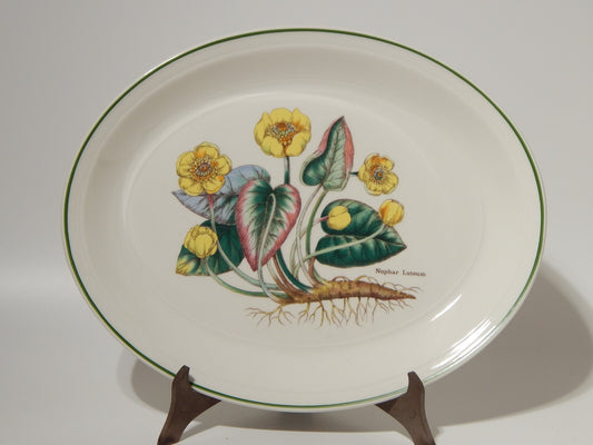 CERAMICA ENOCH WEDGWOOD TEGLIA OVALE LEGUMIERA BOTANICA FLORABUNDA NINFEA GIALLA