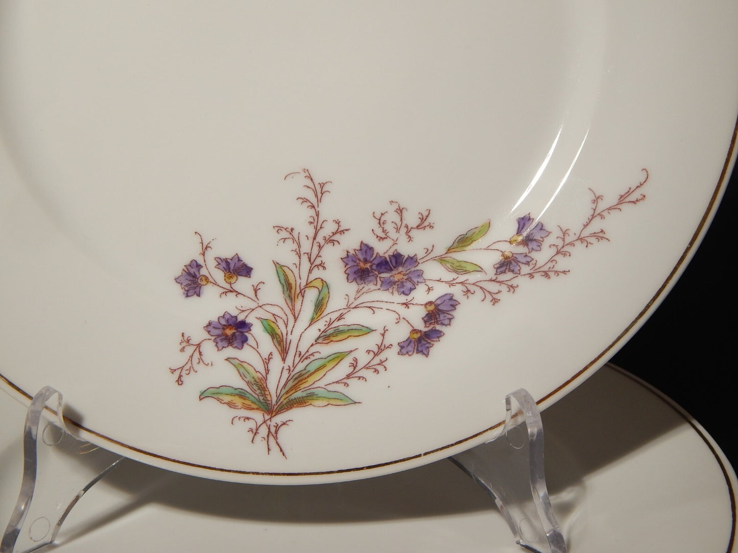 ANTICO HAVILAND LIMOGES SERVIZIO 6 PIATTI TAVOLA PORCELLANA FINE 800 ART NOUVEAU