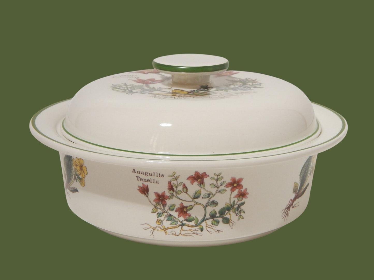 CERAMICA ENOCH WEDGWOOD ZUPPIERA LEGUMIERA SERIE BOTANICA FLORABUNDA