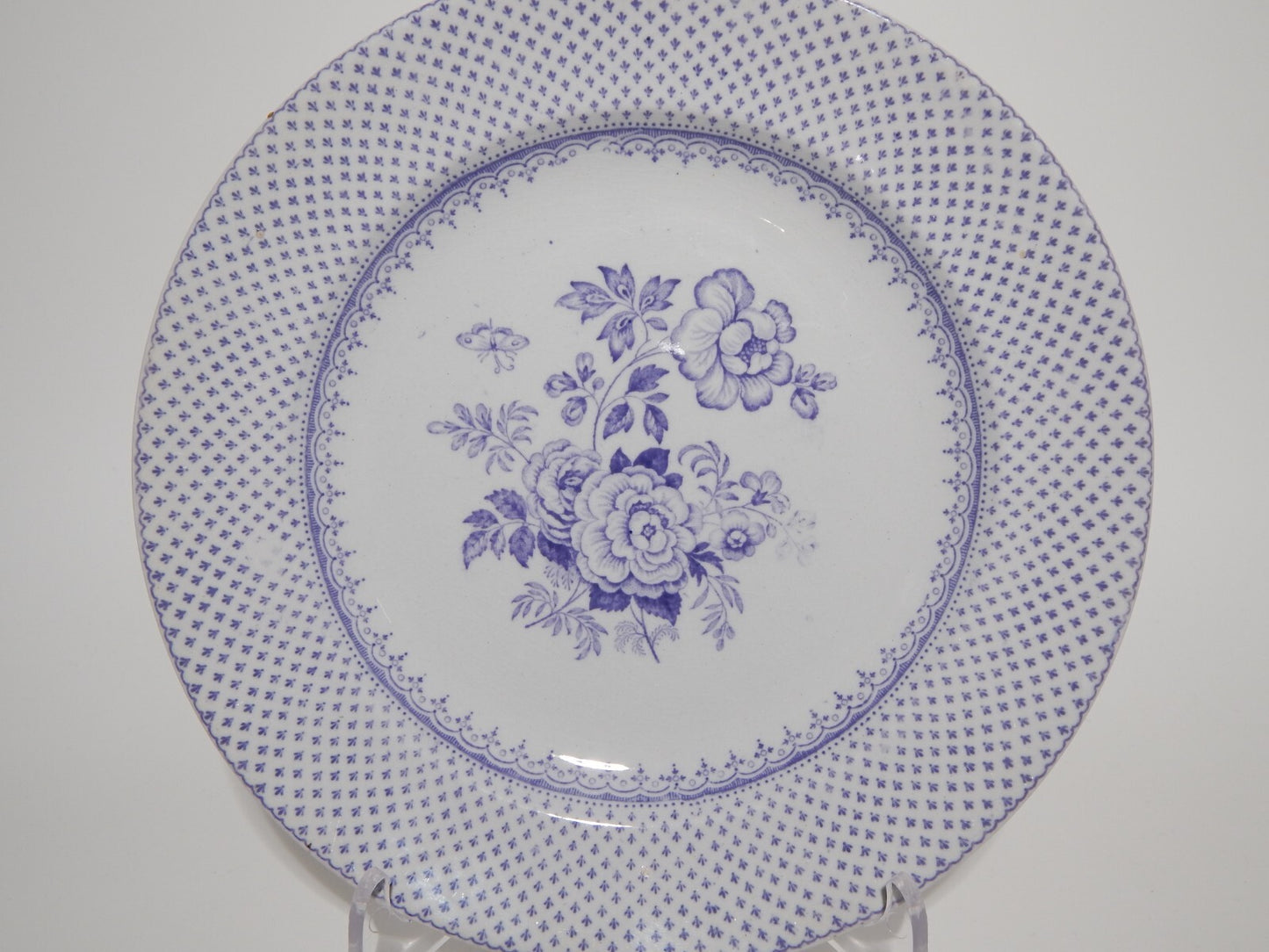 ANTICO PIATTO CERAMICA STAFFORDSHIRE PRIMAVESI DEL 1860 ERMINE BORDER VIOLA