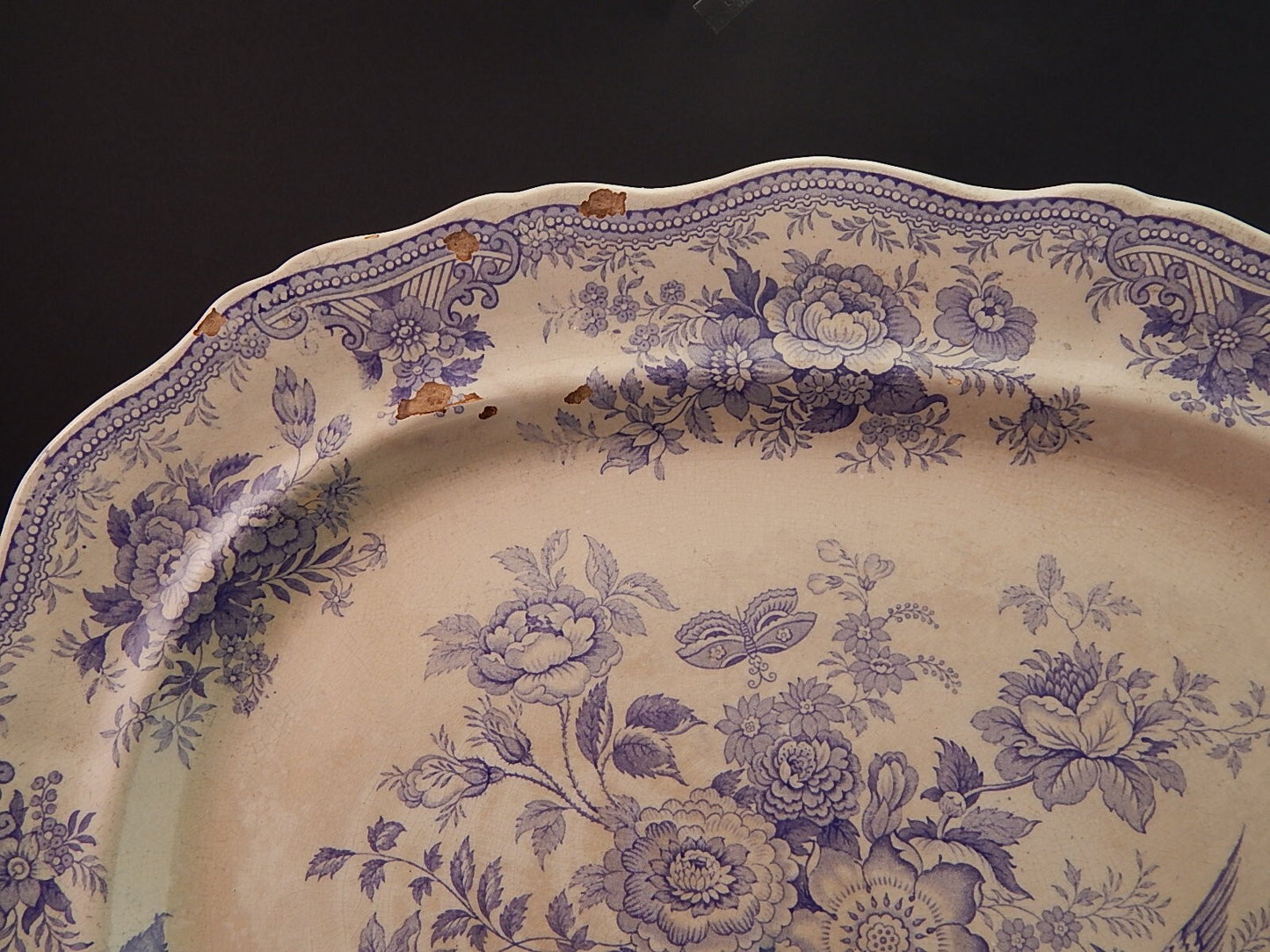 ANTICO RARO VASSOIO CERAMICA PRIMAVESI & SONS SWANSEA ASIATIC PHEASANTS FINE 800