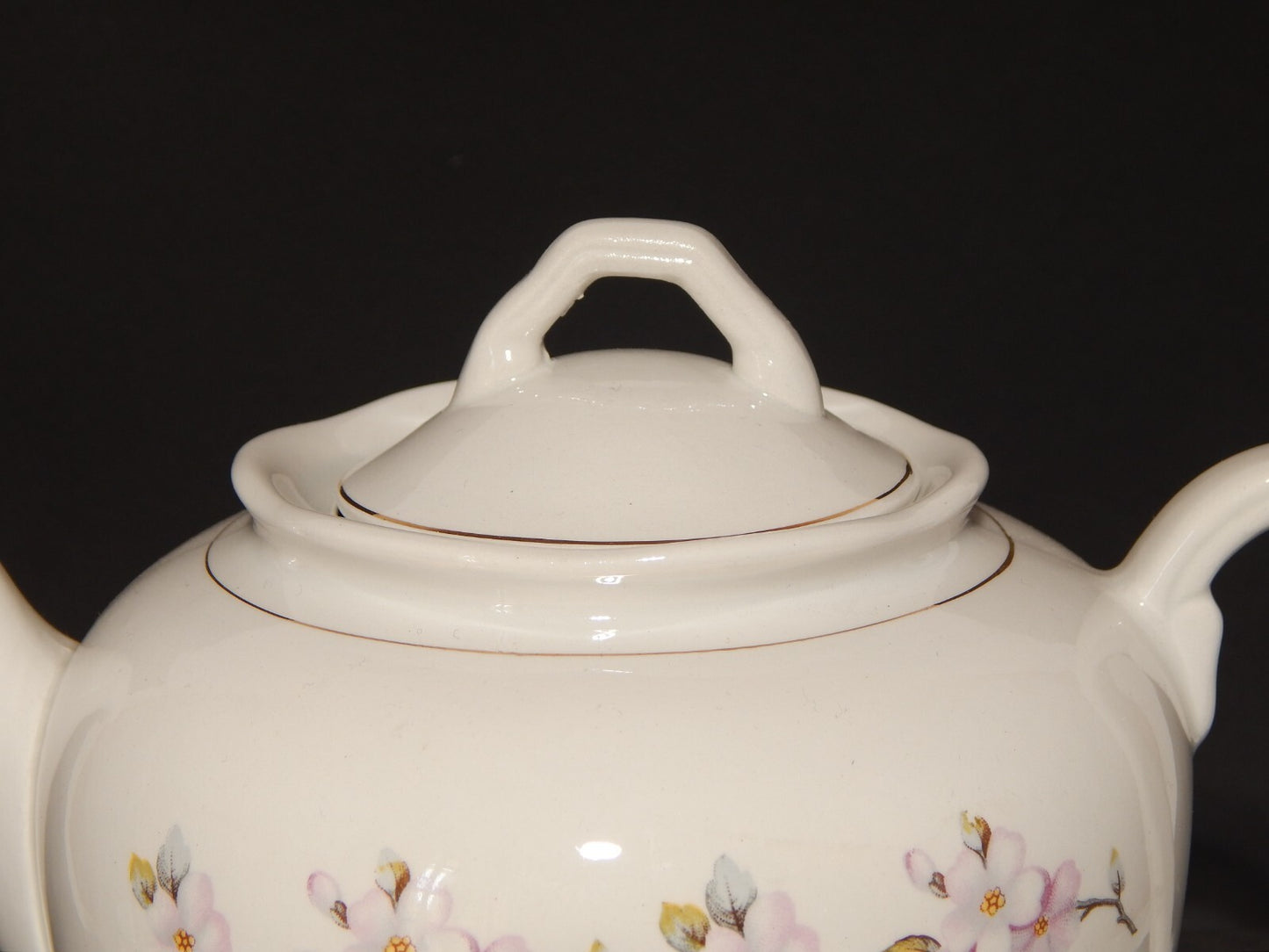 MODERNARIATO SERVIZIO DA TE' SOCIETA' CERAMICA ITALIANA LAVENO FIORI DI PESCO