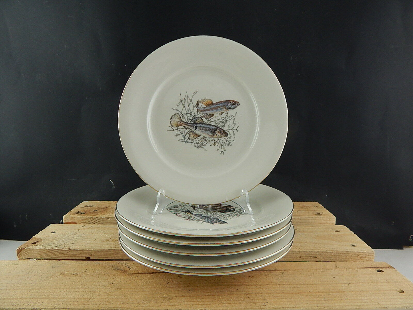 ANTICO SERVIZIO 6 PIATTI WINTERLING BAVARIA PORCELLANA COLLEZIONE PESCI