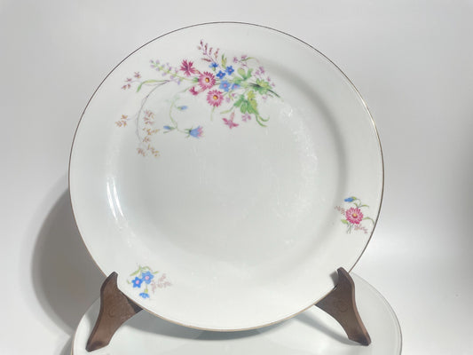 VINTAGE SERVIZIO TAVOLA 11 PIATTI PORCELLANA SELTMANN WEIDEN DISEGNO INGRID