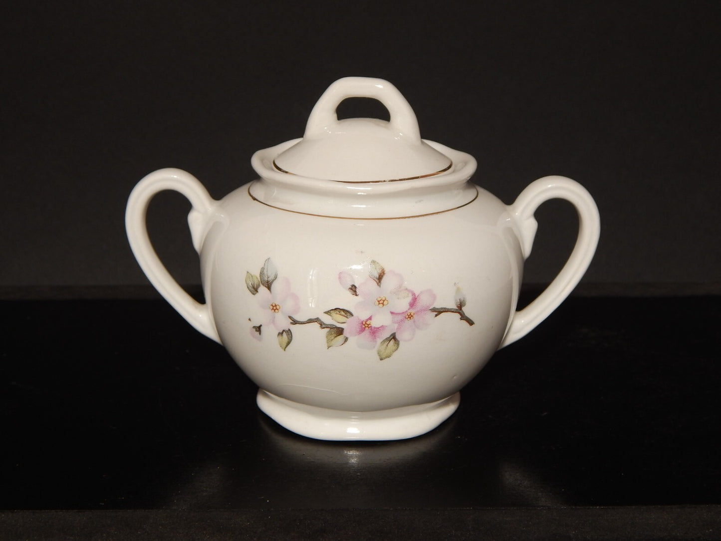 MODERNARIATO SERVIZIO DA TE' SOCIETA' CERAMICA ITALIANA LAVENO FIORI DI PESCO