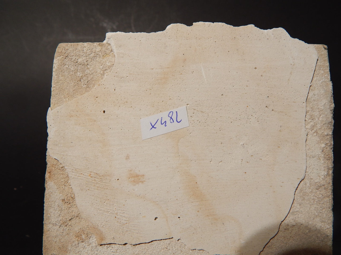 ANTICA PIASTRELLA MATTONELLA CERAMICA DELFT DEL 1700 DECORO AL MANGANESE (482)