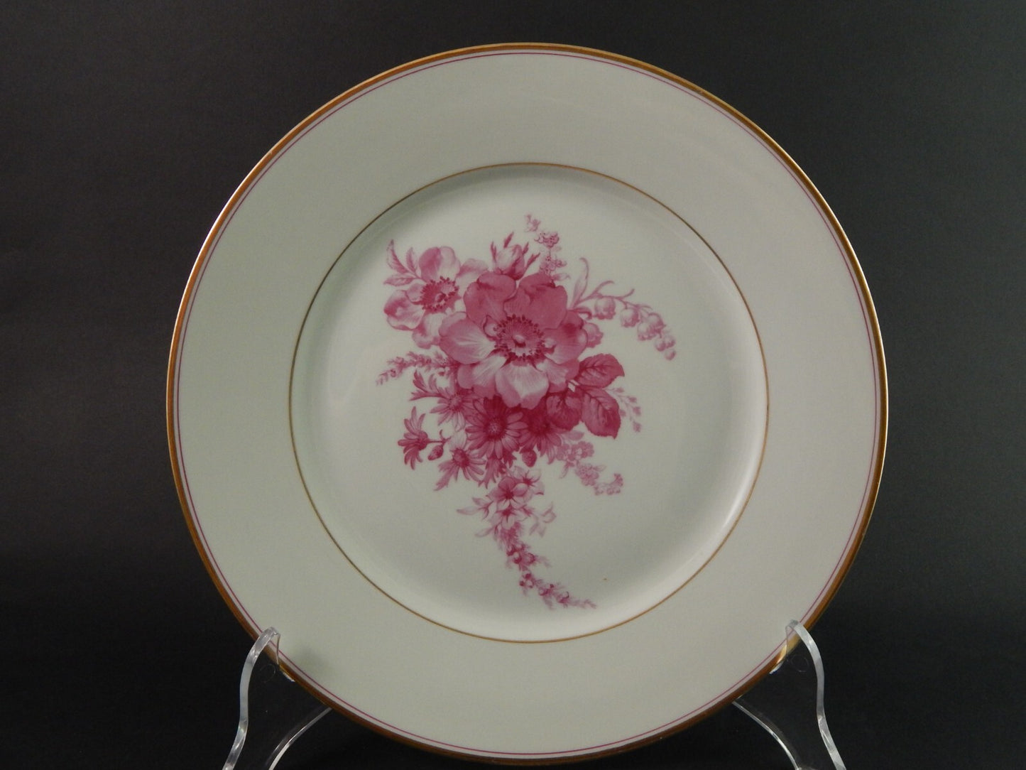 ANTICO SERVIZIO 8 PIATTI PORCELLANA JOHANN HAVILAND BAVARIA DECORO SAVONA