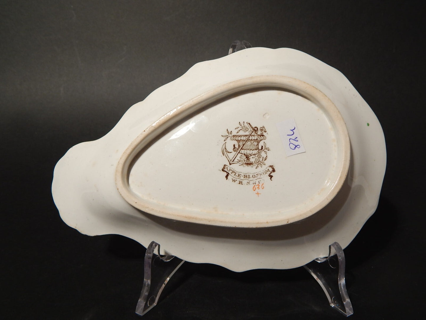 ANTICA 1850 RAVIERA PIATTO CONCHIGLIA SEMI PORCELLANA RIDGWAY &C. APPLE BLOSSOM