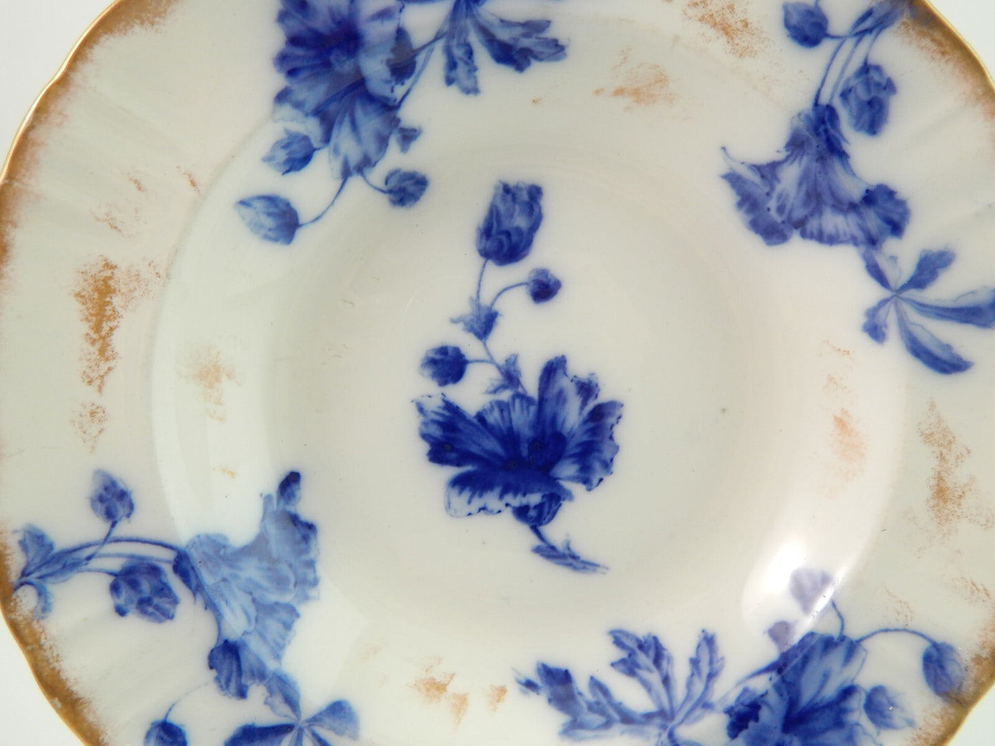 ANTICO PIATTO FONDO PORCELLANA INGLESE WILLIAM ALSAGER ADDERLEY FINE 800 LONGTON