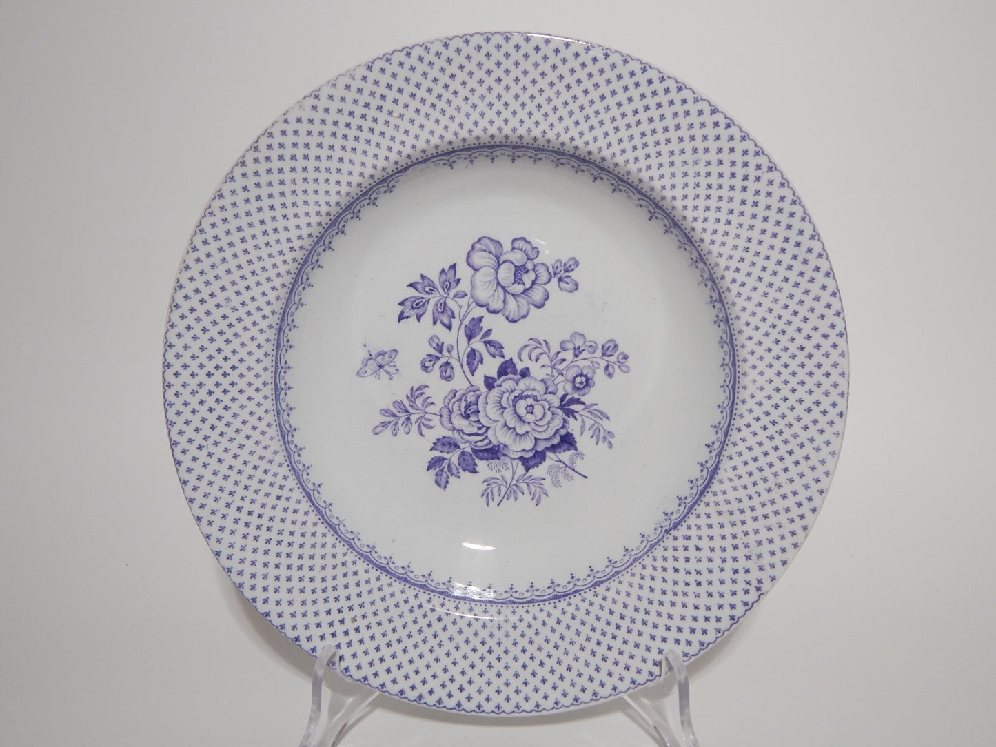 ANTICO SET 12 PIATTI CERAMICA STAFFORDSHIRE PRIMAVESI 1860 ERMINE BORDER VIOLA