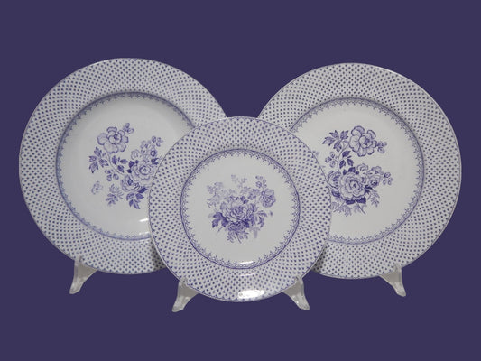 ANTICO SET 18 PIATTI CERAMICA STAFFORDSHIRE PRIMAVESI 1860 ERMINE BORDER VIOLA