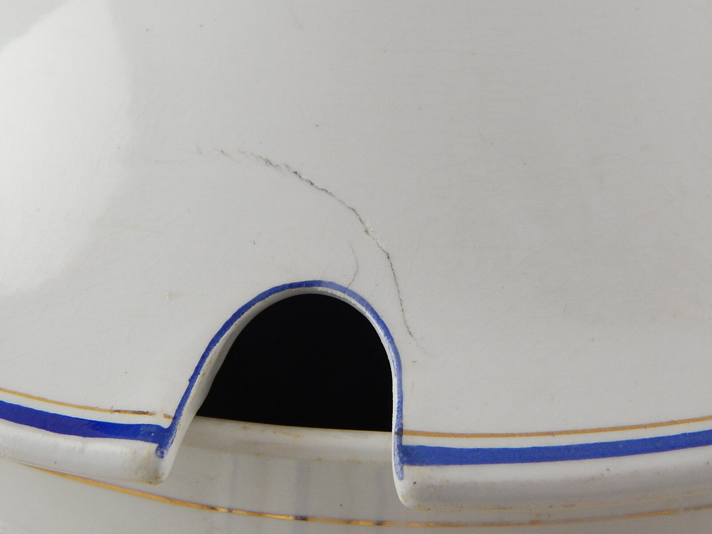 ANTICA ZUPPIERA CERAMICA RICHARD MILANO FINE 800 BIANCO BLU PERSONALIZZATA CAPRA