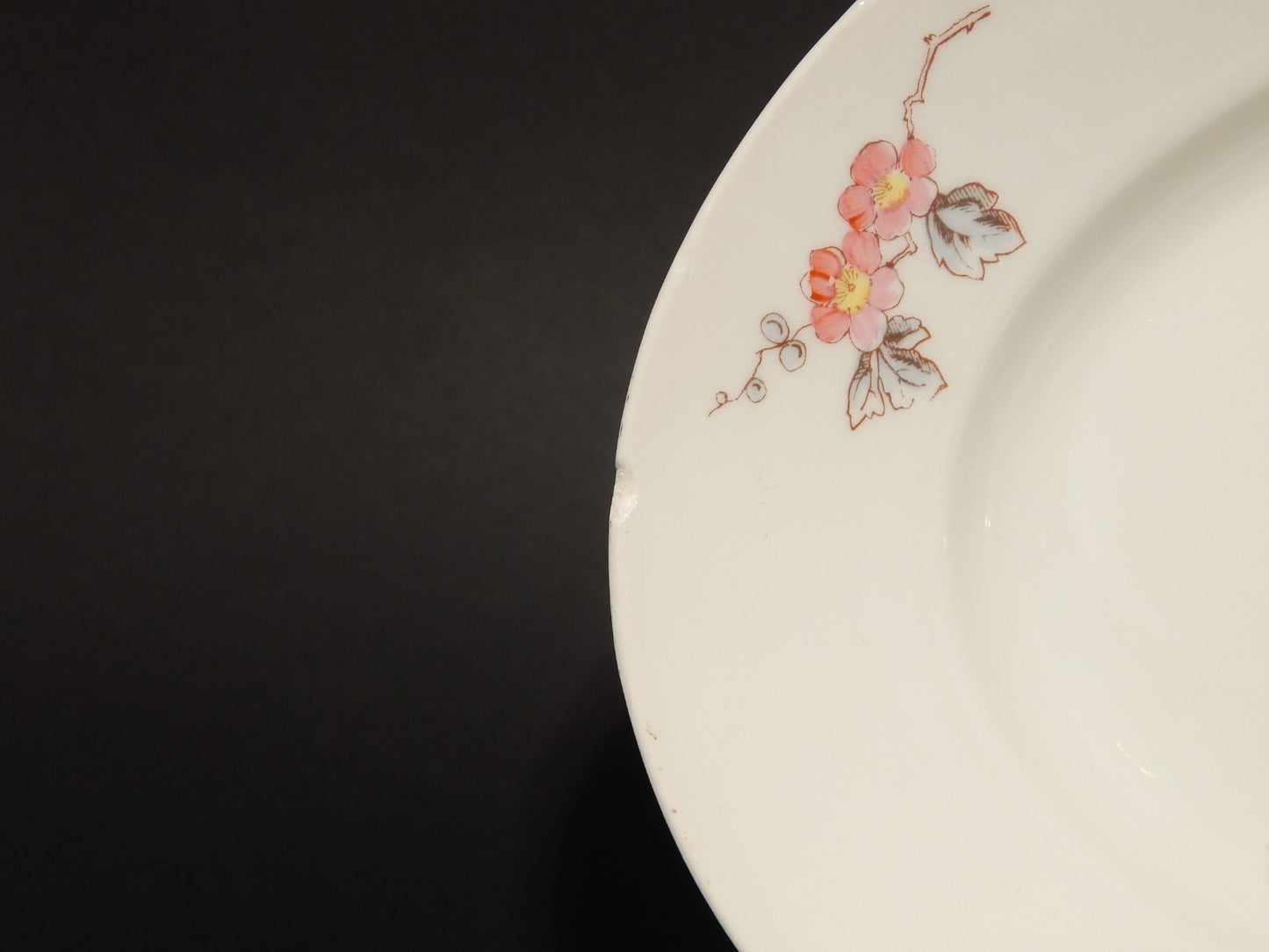 ANTICO VASSOIO PIATTO PORTATA PORCELLANA GINORI FINE 800 RAMO FIORITO difetto