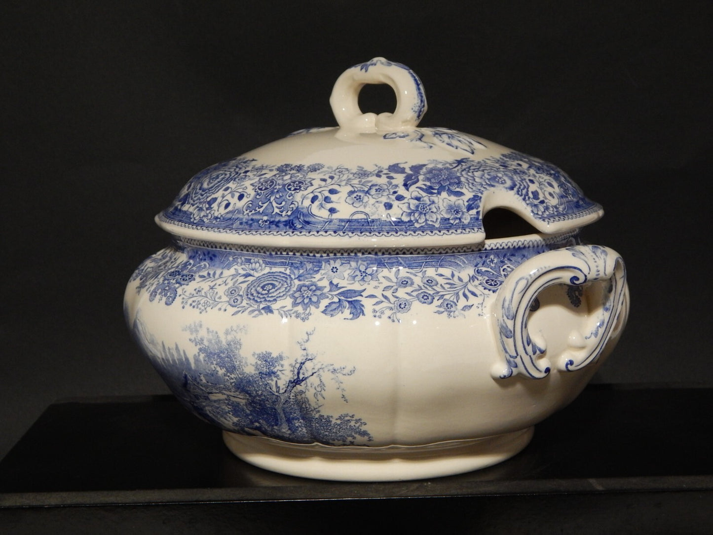 VINTAGE ZUPPIERA CENTROTAVOLA PORCELLANA VILLEROY&BOCH METTLACH SAAR BURGENLAND