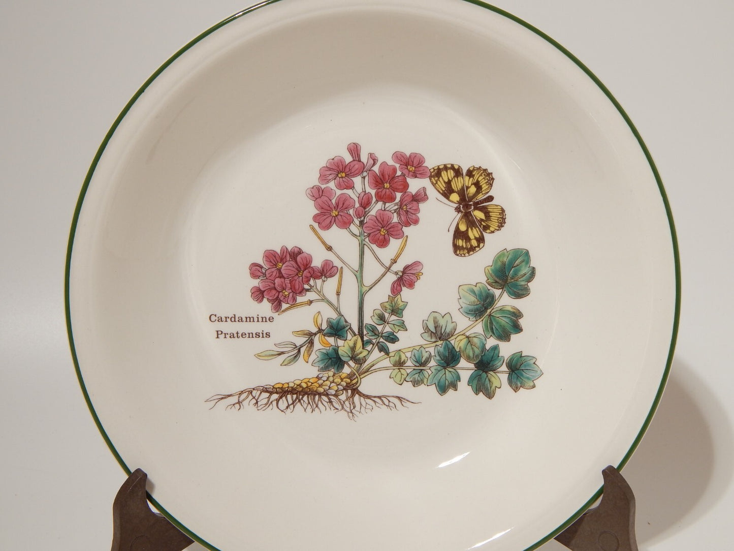 CERAMICA ENOCH WEDGWOOD VINTAGE SERVIZIO 18 PIATTI SERIE BOTANICA FLORABUNDA