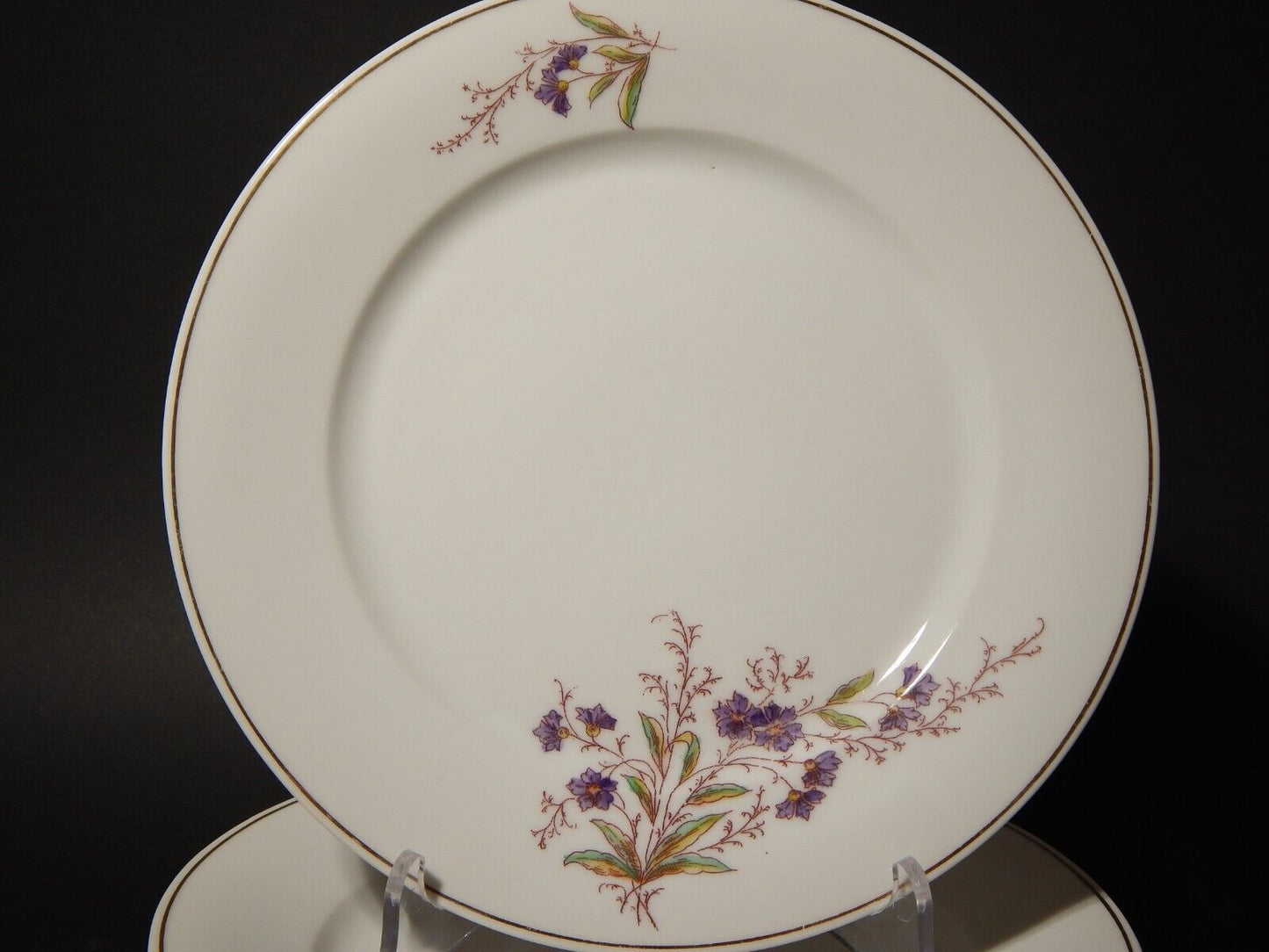 ANTICO HAVILAND LIMOGES SERVIZIO 6 PIATTI TAVOLA PORCELLANA FINE 800 ART NOUVEAU