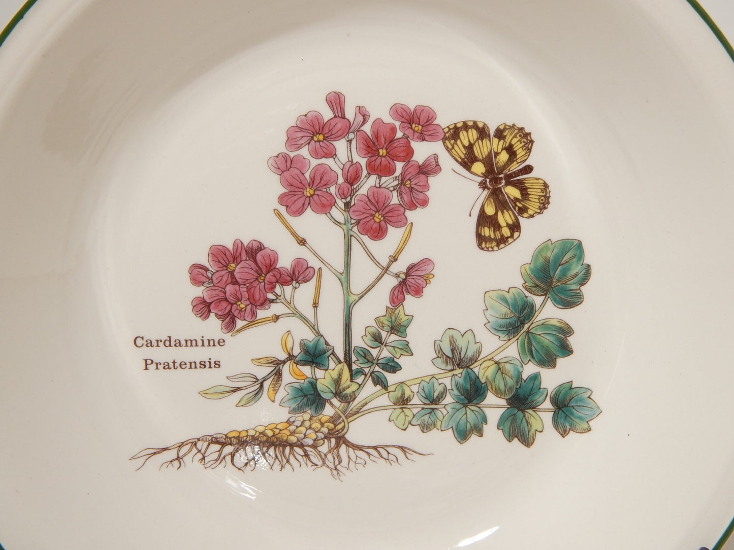 CERAMICA ENOCH WEDGWOOD VINTAGE SERVIZIO 18 PIATTI SERIE BOTANICA FLORABUNDA