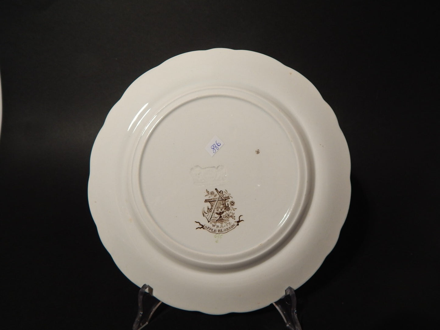 ANTICO 1850 PIATTO PIANO SEMI PORCELLANA INGLESE RIDGWAY &C. APPLE BLOSSOM #886