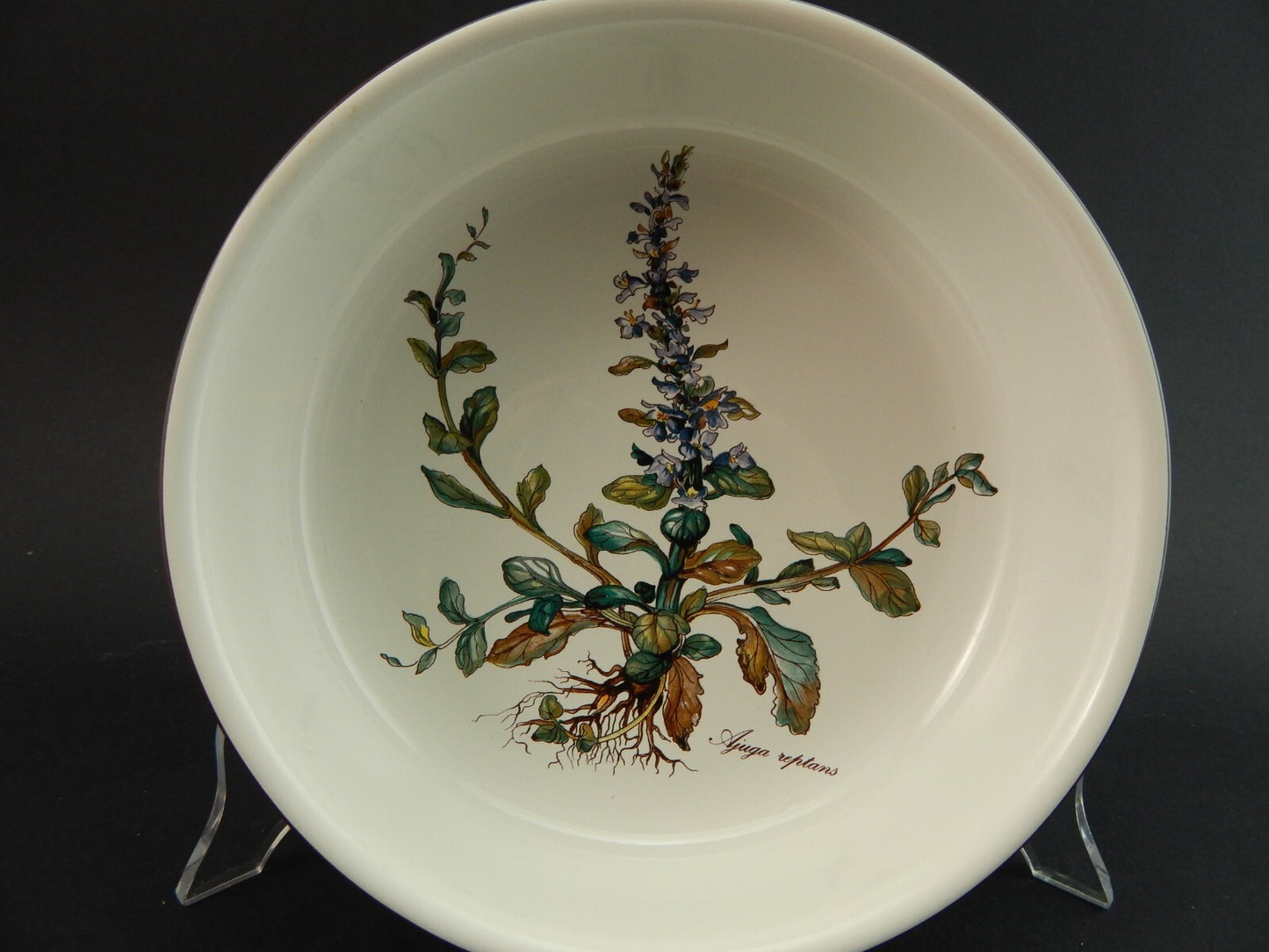 VINTAGE VILLEROY&BOCH CIOTOLA LEGUMIERA PORCELLANA COLLEZIONE BOTANICA