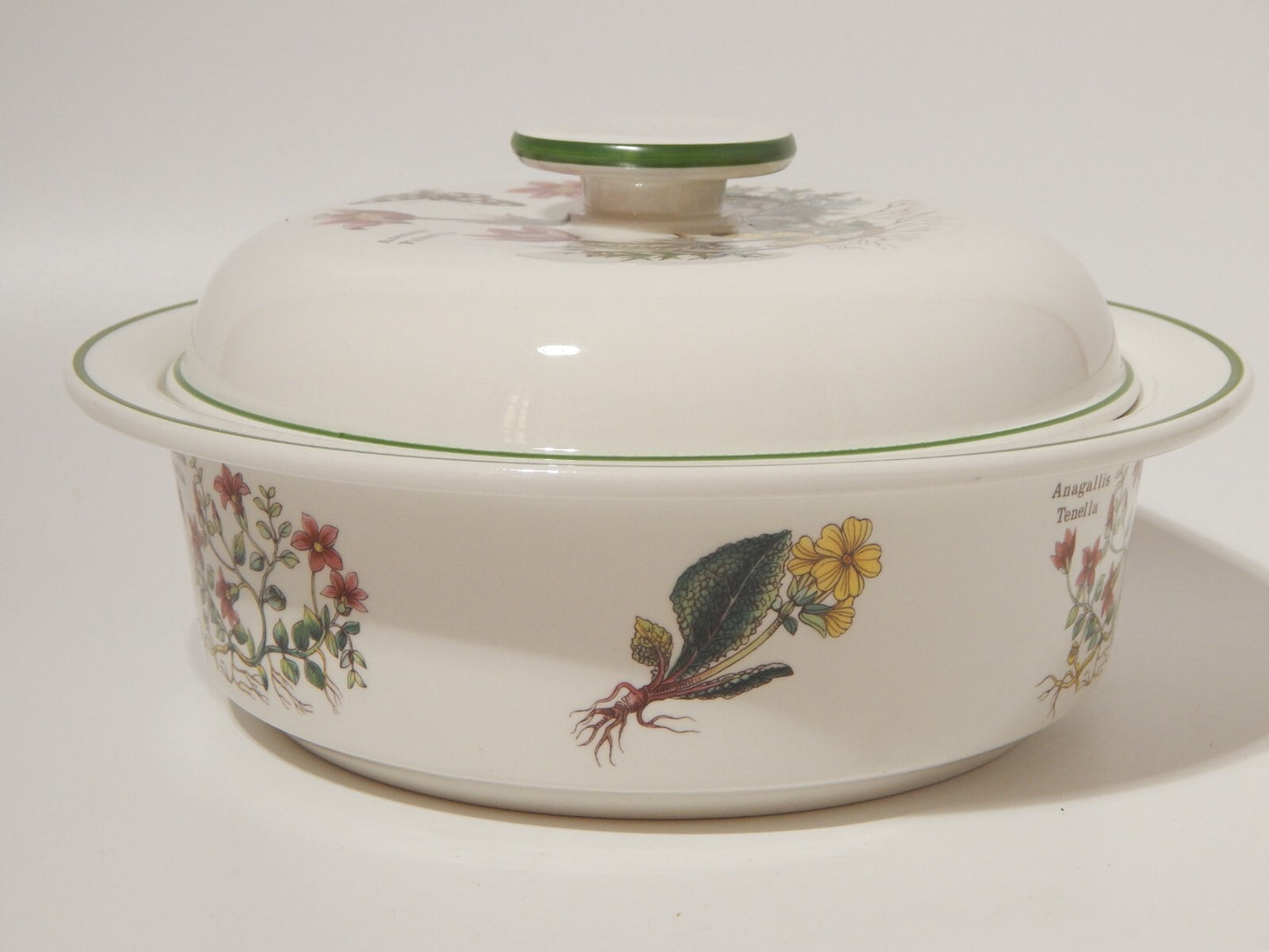 CERAMICA ENOCH WEDGWOOD ZUPPIERA LEGUMIERA SERIE BOTANICA FLORABUNDA