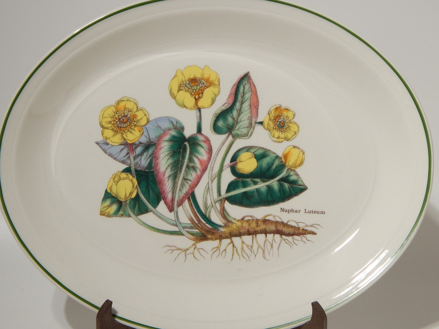 CERAMICA ENOCH WEDGWOOD TEGLIA OVALE LEGUMIERA BOTANICA FLORABUNDA NINFEA GIALLA