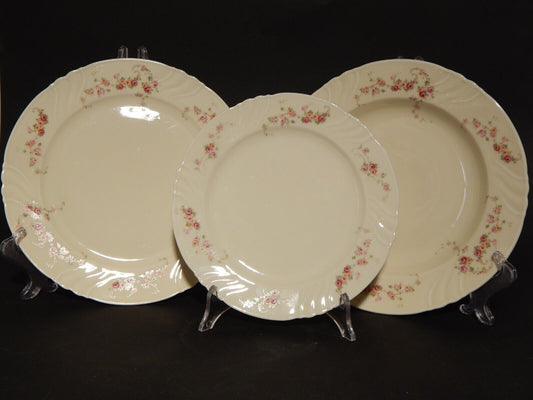 ANTICO SERVIZIO 12 PIATTI PREZIOSA PORCELLANA ROSENTHAL THOMAS IVORY BAVARIA