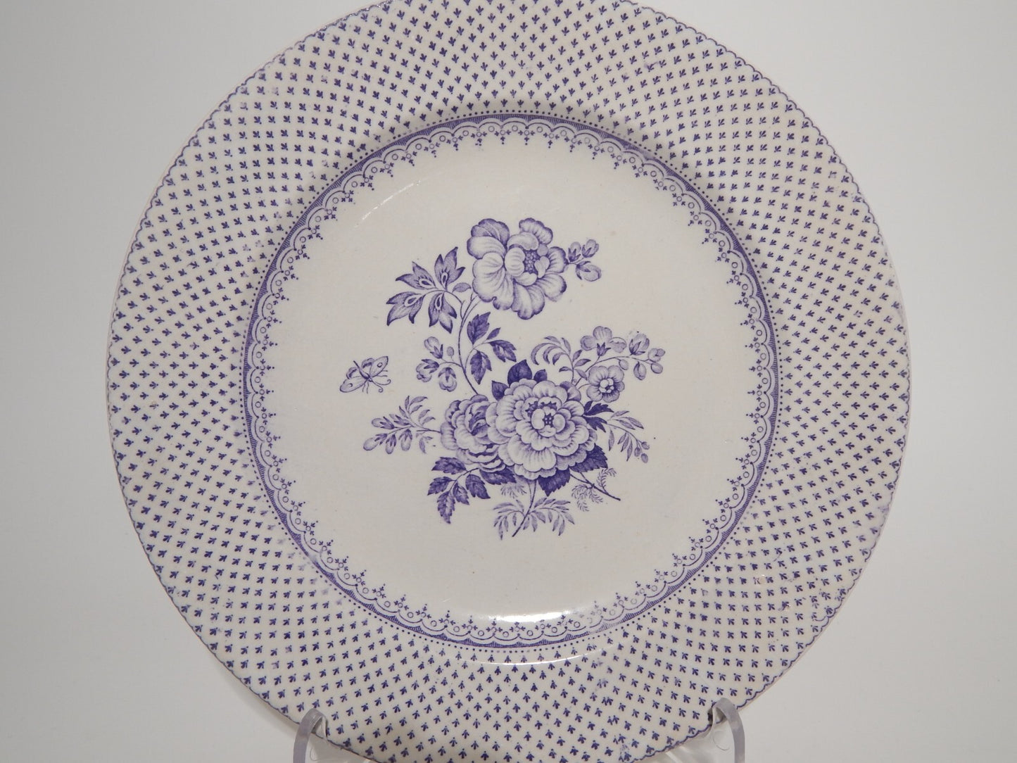 ANTICO PIATTO CERAMICA STAFFORDSHIRE PRIMAVESI DEL 1860 ERMINE BORDER VIOLA ####