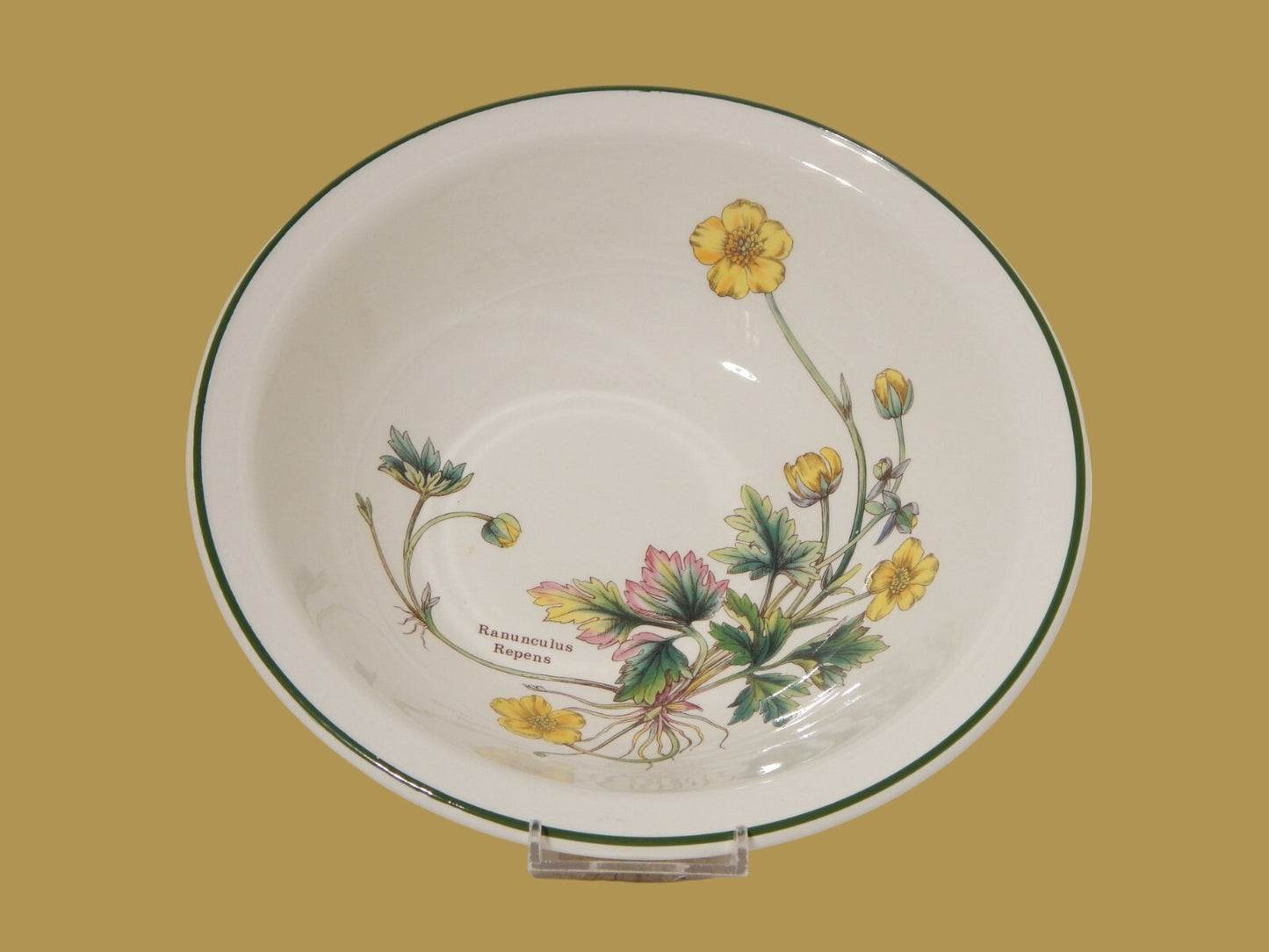 CERAMICA ENOCH WEDGWOOD CIOTOLA INSALATIERA BOTANICA FLORABUNDA RANUNCOLO