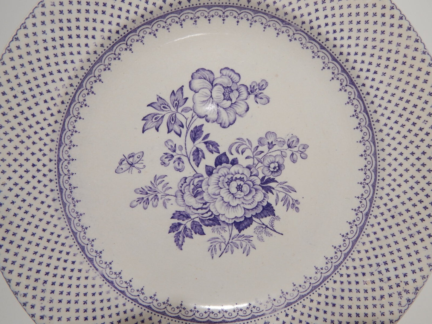 ANTICO PIATTO CERAMICA STAFFORDSHIRE PRIMAVESI DEL 1860 ERMINE BORDER VIOLA ####