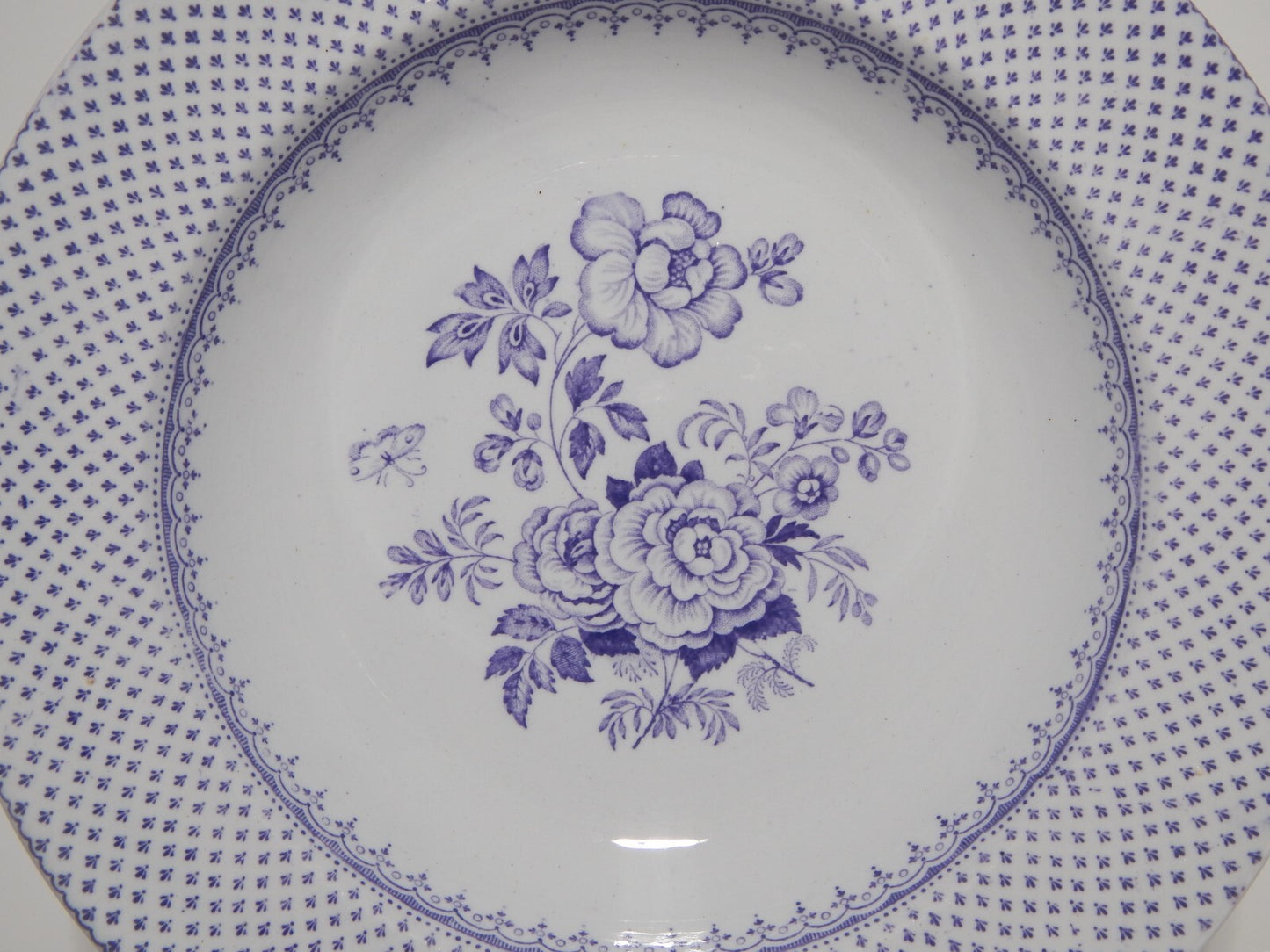ANTICO SET 18 PIATTI CERAMICA STAFFORDSHIRE PRIMAVESI 1860 ERMINE BORDER VIOLA